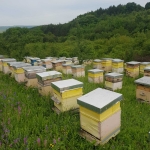 Земеделски имот в Разград, Варош -  кв.м за 1785 €/дка - Снимка #1