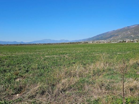 Земеделски имот в Карлово -  кв.м за 567 €/дка - Снимка #1