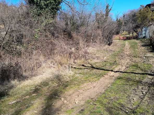 Парцел в Рила - 940 кв.м за 12 €/кв.м - Снимка #1