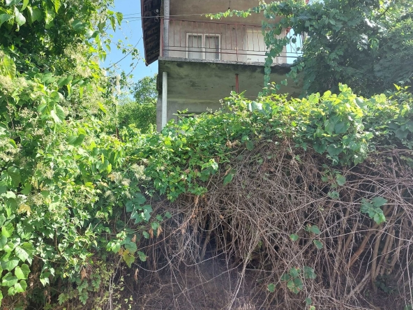 Къща в Тутракан - 150 кв.м за 85 €/кв.м - Снимка #1