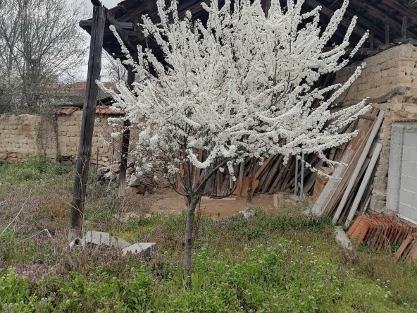 Парцел в Хисаря - 700 кв.м за 16 €/кв.м - Снимка #1