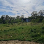 Парцел в с. Калипетрово, Област Силистра - 1176 кв.м за 65 €/кв.м - Снимка #1