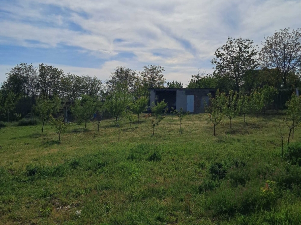 Парцел в с. Калипетрово, Област Силистра - 1176 кв.м за 65 €/кв.м - Снимка #1