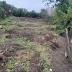 Парцел в с. Калипетрово, Област Силистра - 2225 кв.м за 4 €/кв.м - Снимка #1