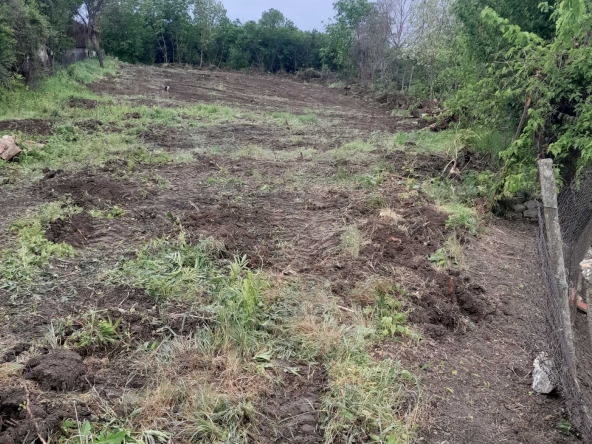 Парцел в с. Калипетрово, Област Силистра - 2225 кв.м за 4 €/кв.м - Снимка #1