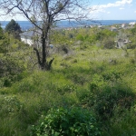 Парцел в Варна, Базар Левски - 2107 кв.м за 99 €/кв.м - Снимка #1