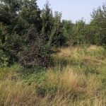 Парцел в с. Ялботина, Област София-област - 1000 кв.м за 15 €/кв.м - Снимка #1