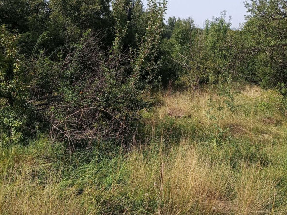 Парцел в с. Ялботина, Област София-област - 1000 кв.м за 15 €/кв.м - Снимка #1