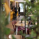 Заведение в София, Център - 250 кв.м за 123 €/кв.м - Снимка #1