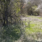 Парцел в Стара Загора, Кольо Ганчев - 660 кв.м за 25 €/кв.м - Снимка #1