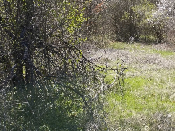 Парцел в Стара Загора, Кольо Ганчев - 660 кв.м за 25 €/кв.м - Снимка #1