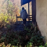 Къща в с. Бутово, Област Велико Търново - 55 кв.м за 186 €/кв.м - Снимка #1