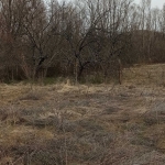 Парцел в Пловдив, Беломорски - 600 кв.м за 14 €/кв.м - Снимка #1