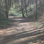 Парцел в София, Бояна - 18000 кв.м за 5 €/кв.м - Снимка #1