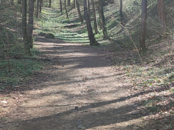 Парцел в София, Бояна - 18000 кв.м за 5 €/кв.м - Снимка #1