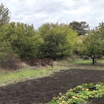 Парцел в Каварна - 884 кв.м за 24 €/кв.м - Снимка #1