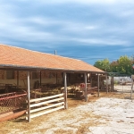 Промишлена сграда в с. Кирилово, Област Ямбол - 3592 кв.м за 17 €/кв.м - Снимка #1