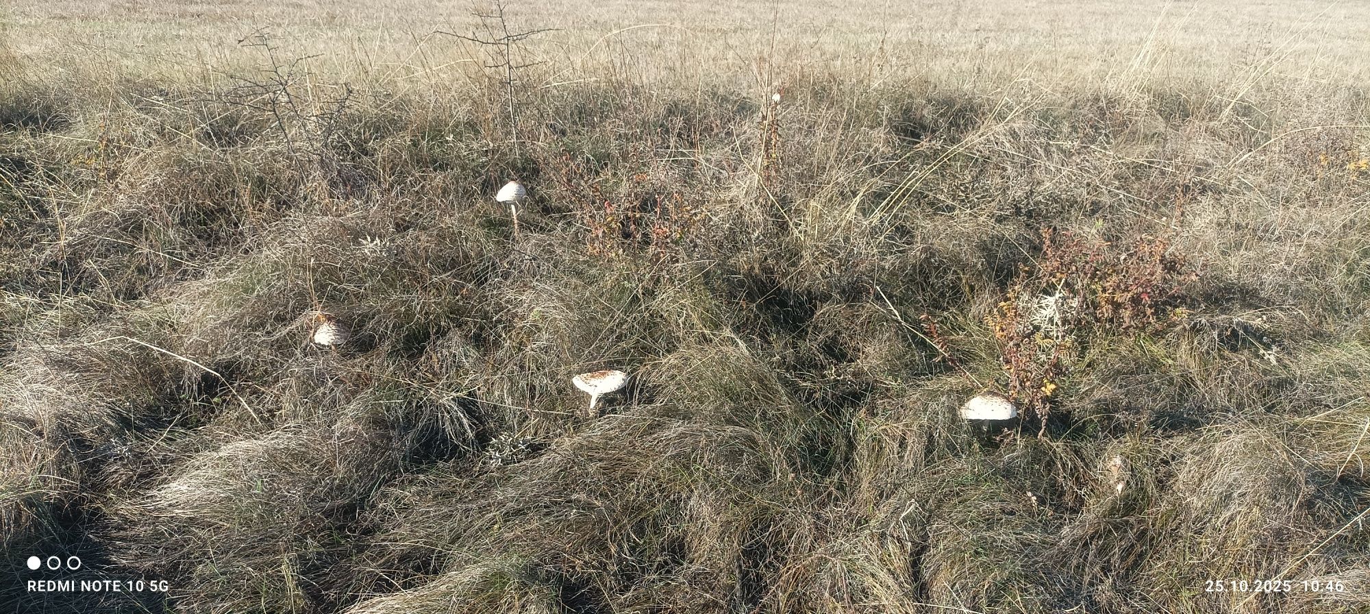 Дава се под наем Едностаен апартамент в Плевен, Идеален център - 54 кв.м за 153 € - Снимка #1