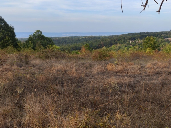 Парцел в Варна, м-т Боровец - север - 5345 кв.м за 66 €/кв.м - Снимка #1