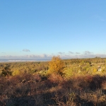 Парцел в с. Бенковски, Област Варна - 5345 кв.м за 58 €/кв.м - Снимка #1