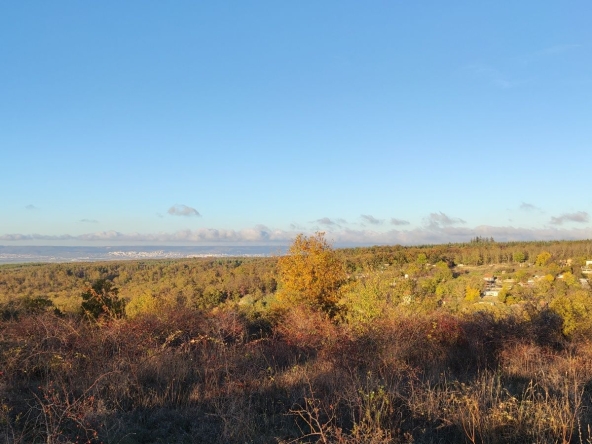 Парцел в с. Бенковски, Област Варна - 5345 кв.м за 58 €/кв.м - Снимка #1