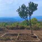 Парцел в Севлиево - 1500 кв.м за 5 €/кв.м - Снимка #1