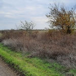 Парцел в Поморие - 1000 кв.м за 5 €/кв.м - Снимка #1