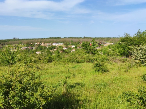 Дава се под наем Парцел в с. Бенковски, Област Варна - 5345 кв.м за 997.05 € - Снимка #1