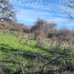 Парцел в с. Рудник, Област Варна - 1040 кв.м за 16 €/кв.м - Снимка #1