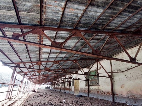 Промишлена сграда в с. Рибен, Област Плевен - 4100 кв.м за 57 €/кв.м - Снимка #1