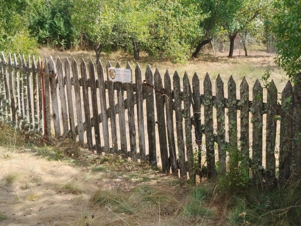 Парцел в с. Егълница, Област Перник - 1071 кв.м за 24 €/кв.м - Снимка #1