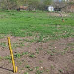 Парцел в с. Чернево, Област Варна - 1300 кв.м за 15 €/кв.м - Снимка #1