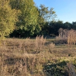 Парцел в Варна, Трошево - 3600 кв.м за 0 €/кв.м - Снимка #1