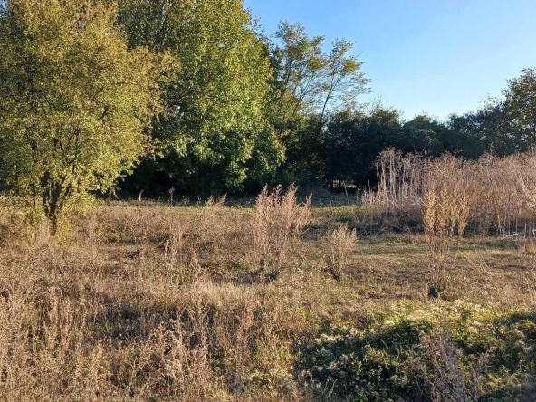 Парцел в Варна, Трошево - 3600 кв.м за 0 €/кв.м - Снимка #1