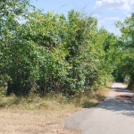 Парцел в с. Егълница, Област Перник - 1071 кв.м за 22 €/кв.м - Снимка #1