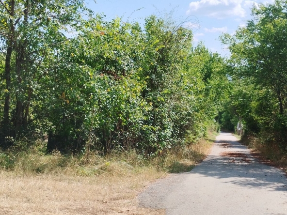 Парцел в с. Егълница, Област Перник - 1071 кв.м за 22 €/кв.м - Снимка #1