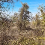 Парцел в Разград, Промишлена зона - Запад - 4618 кв.м за 3 €/кв.м - Снимка #1