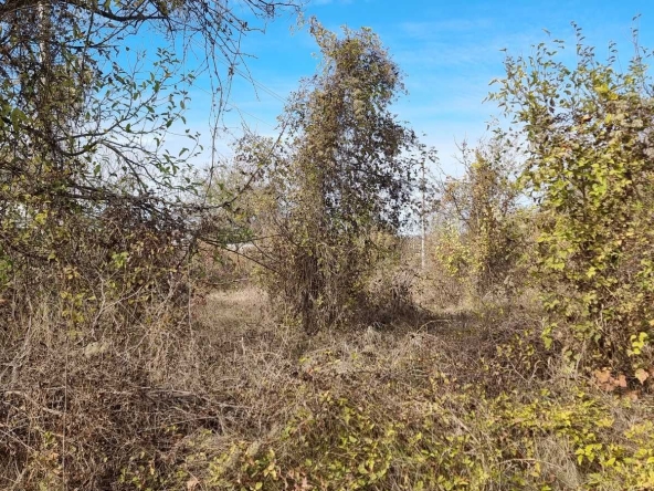 Парцел в Разград, Промишлена зона - Запад - 4618 кв.м за 3 €/кв.м - Снимка #1