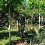 Къща в София, Княжево - 126 кв.м за 360 €/кв.м - Снимка #1