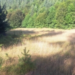 Земеделски имот в с. Давидково, Област Смолян -  кв.м за 2487 €/дка - Снимка #1