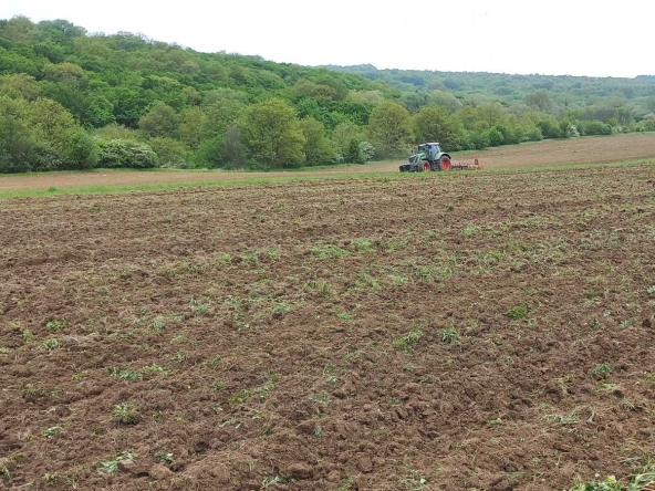 Земеделски имот в с. Зорница, Област Варна -  кв.м за 1275 €/дка - Снимка #1