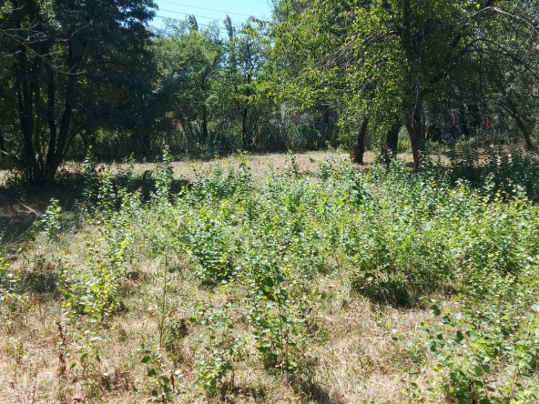 Парцел в Перник, Църква - 1440 кв.м за 46 €/кв.м - Снимка #1