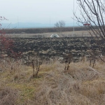 Парцел в с. Храбърско, Област София-област - 2923 кв.м за 20 €/кв.м - Снимка #1