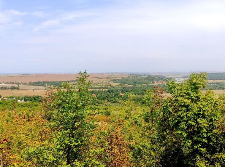 Земеделски имот в Асеновград -  кв.м за 2550 €/дка - Снимка #1