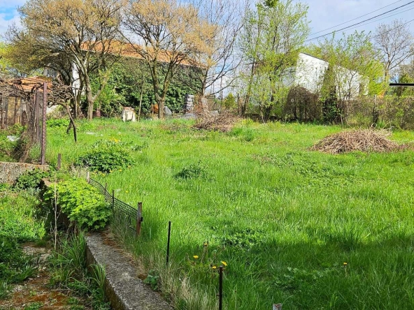 Парцел в с. Кралев дол, Област Перник - 1220 кв.м за 38 €/кв.м - Снимка #1