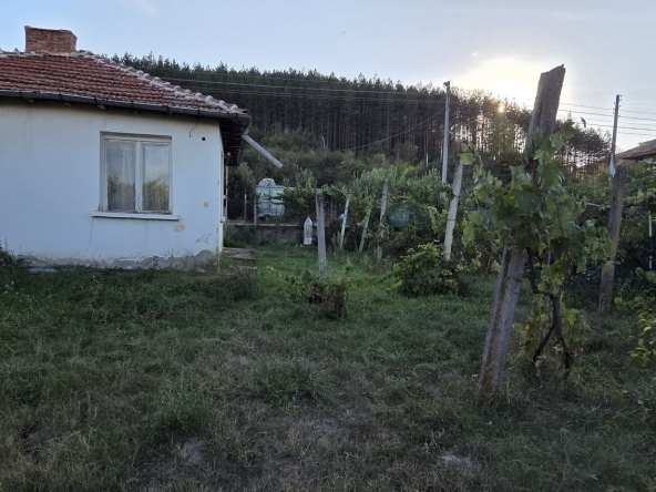 Къща в с. Невестино, Област Кюстендил - 52 кв.м за 540 €/кв.м - Снимка #1