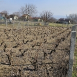 Парцел в Варна, Зимно кино Тракия - 492 кв.м за 38 €/кв.м - Снимка #1