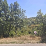 Парцел в с. Малка Верея, Област Стара Загора - 10000 кв.м за 18 €/кв.м - Снимка #1