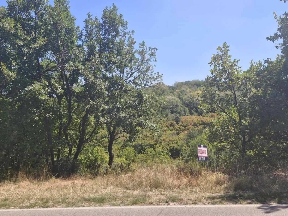 Парцел в с. Малка Верея, Област Стара Загора - 10000 кв.м за 18 €/кв.м - Снимка #1