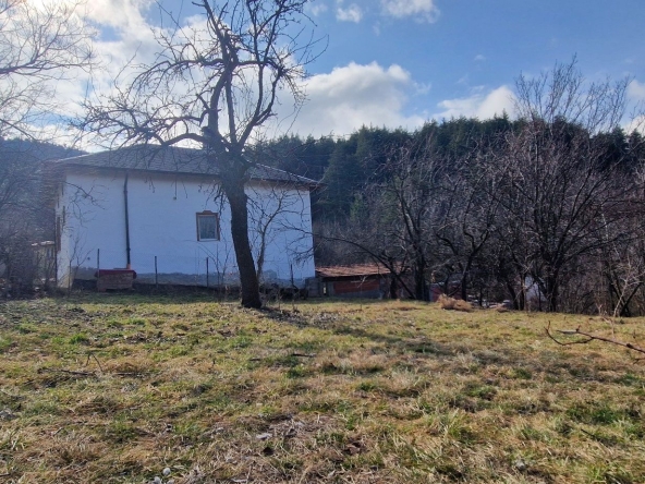 Парцел в с. Сапарево, Област Кюстендил - 700 кв.м за 53 €/кв.м - Снимка #1